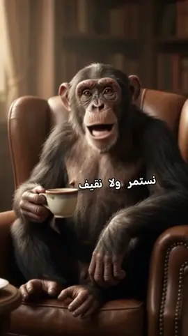 #حباب الربطاب ###