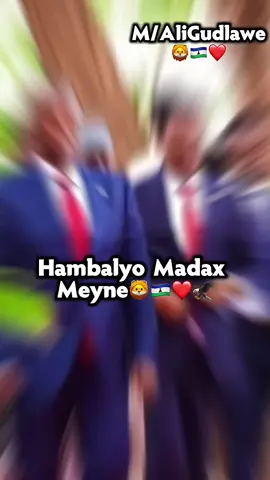 Hambalyo madax Weyne 🇱🇸🦅#hirshabeele🥛💚🆎️❤💪 #abgaalnimo❤️👑 #ciyaalxamar #banadir_somalia🇸🇴 #Wink 
