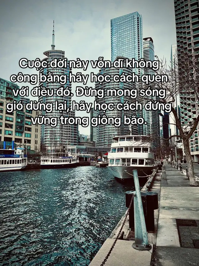 Cuộc đời này vỗn dĩ không công bằng hãy học cách quen với điều đó. Đừng mong sóng gió dừng lại, hãy học cách đứng vững trong giông bão.