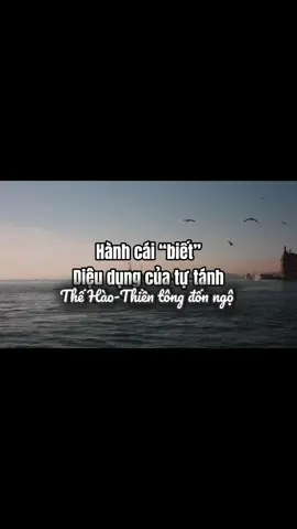 #thehaothientongdonngo #phatphapnhiemmau #phapkientanh #xuhuong 