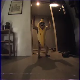 Gogo monkeys !!!! #monkey #party 