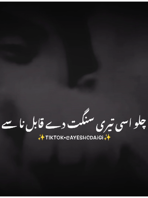 چلو اسی تیری سنگت دے قابل ناں سے۔۔۔۔۔۔ #foryou #foryoupage #burhan_tv #punjabi_poetry #asifwri8ess