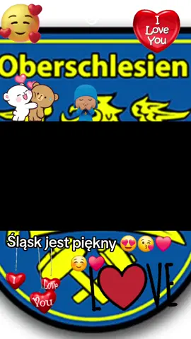#opolskie #śląsk #slaskie #heimat #polska 