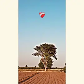 Bhout rehmat aa❤️🫶#سوہناپنجاب #مان_صاحب🍂🥀 #چیمہ_صاحب🍂🥀 #foryoupage❤️ #unfreezemyaccount @TikTok 