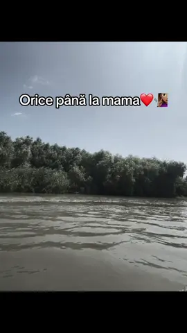 @madalina #foryoupage❤️❤️ #fyp #teiubesc❤️ #fyyyyyyyyyyyyyyyyyyyyyyyyyp #viral 