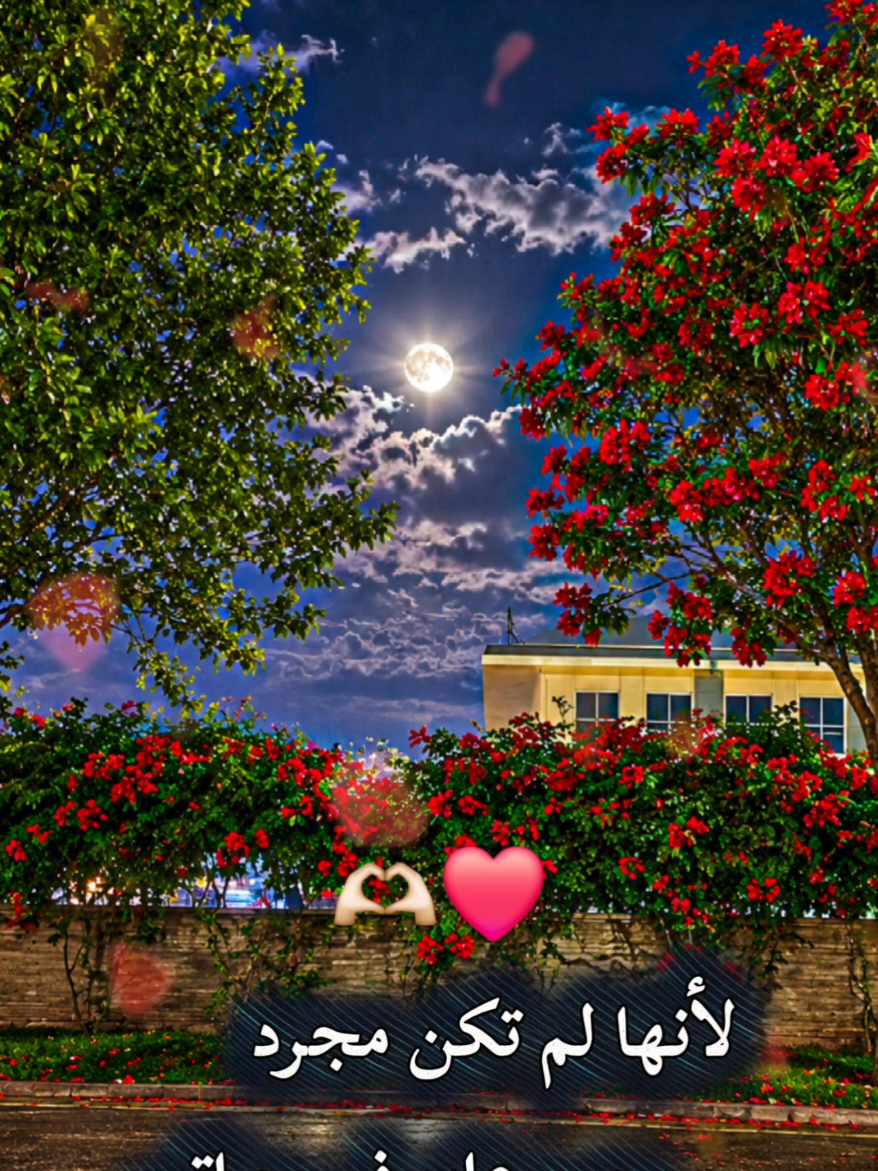 #CapCut #لماذا هي دونا عن الجميع♥️👩‍❤️‍👨🌷 منشن الحب تصصميم_فيديوهات🎶🎤🎬 محظور_من_الاكسبلور🥺 اكسبلورexplore  #capcut #capcutpioneer #pioneertemplate 