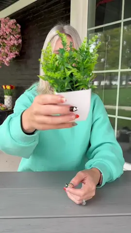 I just love plants 🪴 