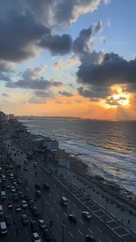 Alexandria 