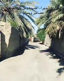 #السعودية🇸🇦🇸🇦 #الكويت🇰🇼💙 #تك_توك_المشاهير #ذكريات_الزمن_الجميل #الصين_ماله_حل😂 
