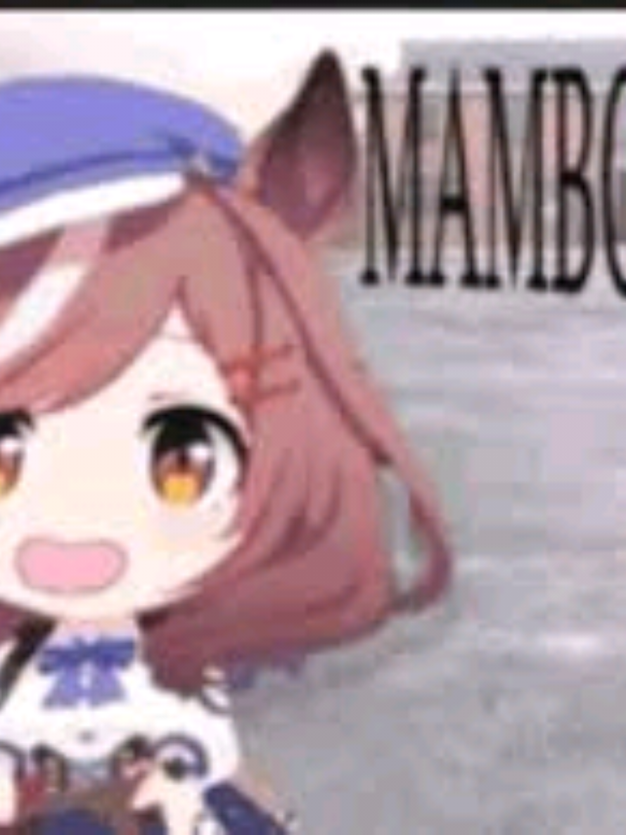 mambo #mambo #umamusume #cat #meme #fyp