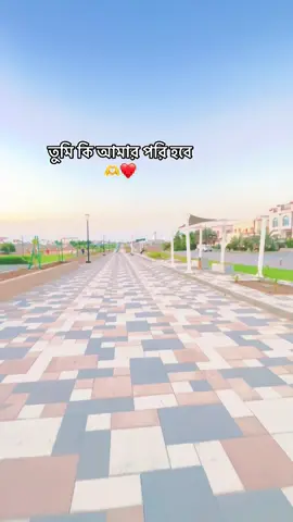 #foryoupage @Taniya tani @,,স্বপ্ন,, পরি,, ❤️🇧🇩❤️ @❤সৌদি প্রবাসীর বউ ❤ @.মায়াবতী @অচিন পুরের অচিন পাখি @🥀⃝༒︎ফুল বিলাসী༒︎⃝🥀 