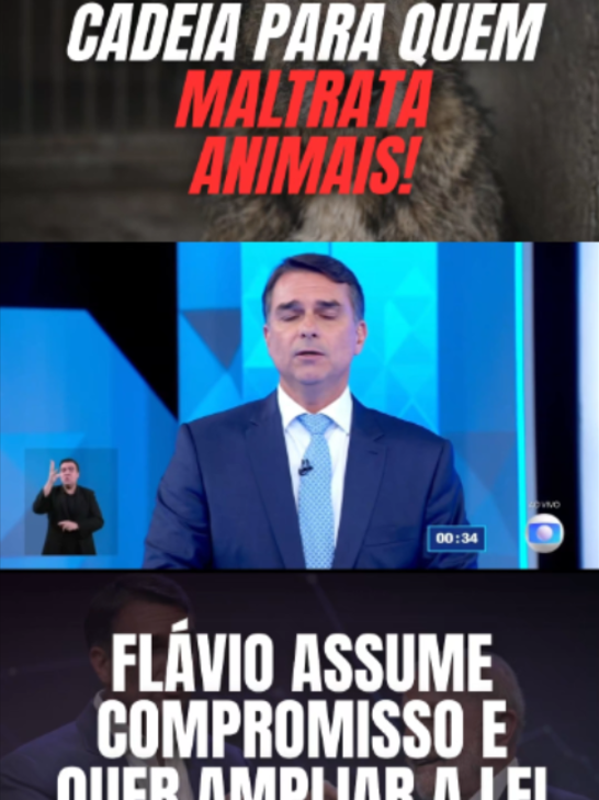 O candidato à Presidência da República Flávio Bolsonaro (PL) assumiu publicamente o compromisso de ampliar a legislação de proteção contra maus-tratos a animais. O último debate presidencial da TV Globo entre os candidatos Lula (PT) e Flávio Bolsonaro (PL) foi realizado na sexta-feira, 23 de outubro de 2026, nos Estúdios Globo, no Rio de Janeiro. #flaviobolsonaro #lula #debate #globo #politica