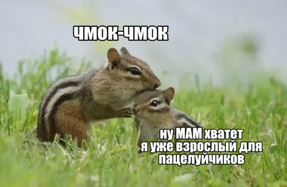 ☺️🐿 #белки #мама #любовь #мило #пукнуласподливой 