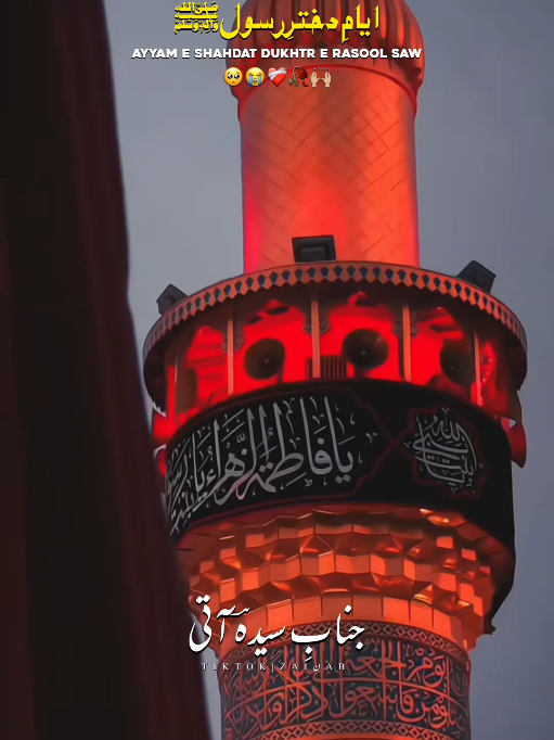 Ayyam E Shahdat bibi Fatima Zahra S.a😭❤️‍🩹 #13Jamadiulawal #shiastatus #yaali #unfreezmyaccount #Rabiulsani 