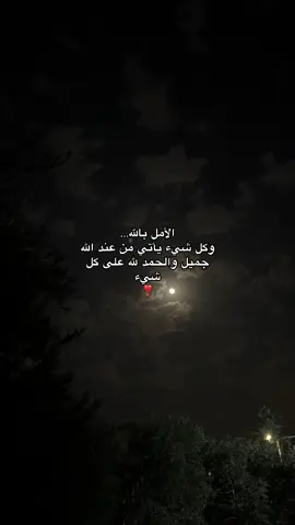 #لا_تدري_لعل_اللّه_يحدث_بعد_ذلك_أمرا #الثقة_في_الله_نچاح #oops_alhamdulelah #fyp 