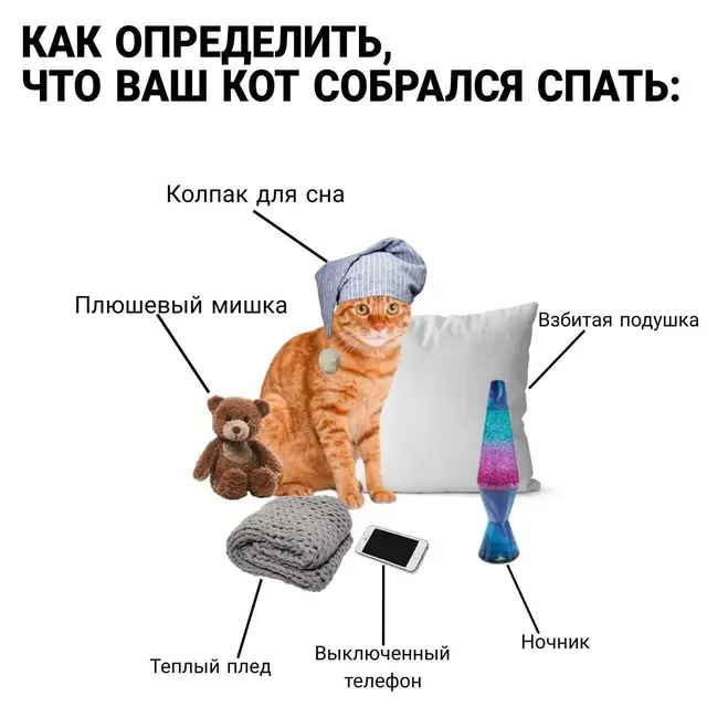 #memes #мем 