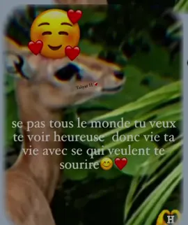 @maymoun  