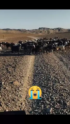 waqiiii humdard pull too rast gust #fypシ゚viralvideo #viral_song❤️ #balochi_song_status⚡🎼 #pleasetiktokteamviralvideo💯 