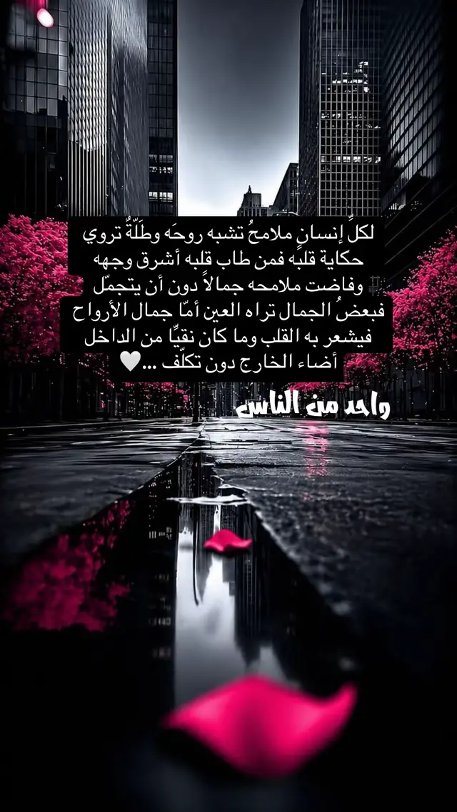 #اكسبلورexplore #الانتشار_السريع #الخبر_الدمام_الشرقيه #مشاهير_تيك_توك #العرب 