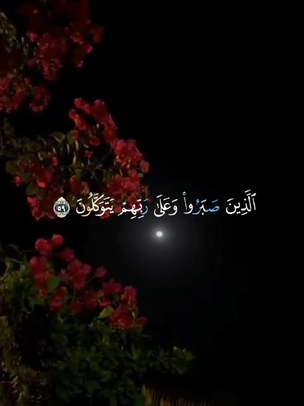 part 2 l #عبدالرحمن_مسعد🖤🎧 #القاري_عبدالرحمن_مسعد #foryoupage❤️❤️ 