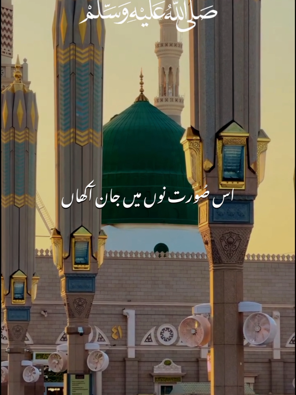 Is soorat nu main jaan akhaan 🥹🤍||NAAT STATUS ✨🤍||NAAT SHAREEF 🌼✨||#صلی_اللہ_علیہ_وسلم #naat #naatstatus #naatshareef #forupage 