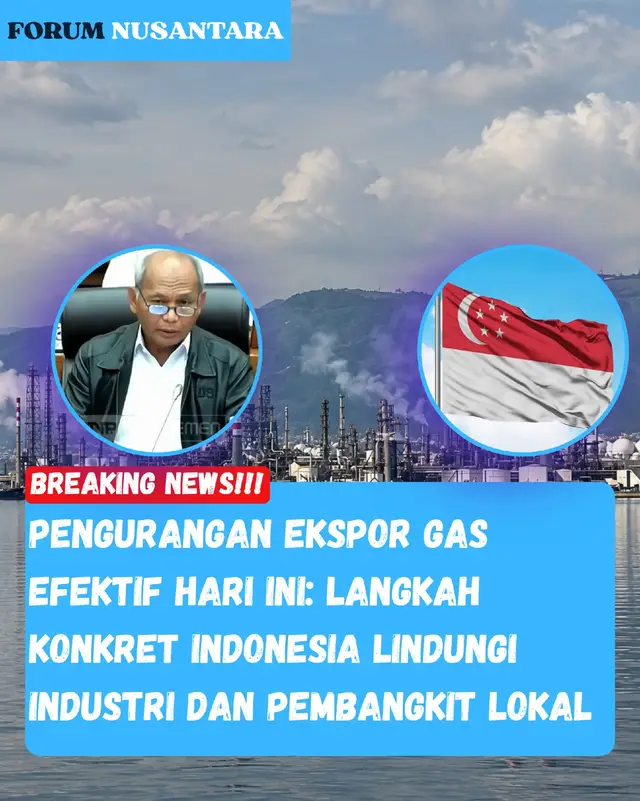 Pengurangan pasokan gas ke Singapura menjadi langkah pemerintah untuk mengutamakan kebutuhan energi domestik. Gas dari Natuna dan Sumatra dialihkan untuk mendukung pasokan dalam negeri, termasuk kebutuhan kelistrikan di Batam dan wilayah Sumatra. #fyp  #energiindonesia #gasbumi  #industrinasional #jagaindonesia 