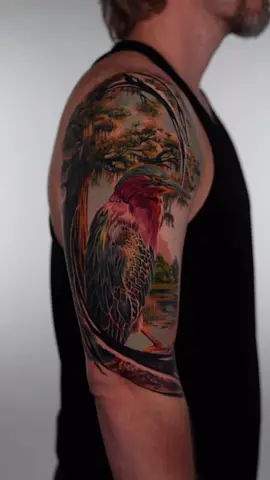 No thoughts just *sqquuuuaaawwwkkk* For booking, click the link in my bio to inquire through @Eden • Dallas Tattoo Studio 🦅 #tattoo #birdtattoo #dallastattooartist