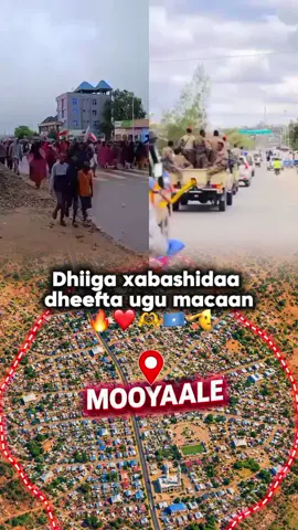 dhiiga xabashidaa dheefta ugu macaan ❤️🫶 #somalitiktok #somalia #kaynan #fypシ゚ #viral 