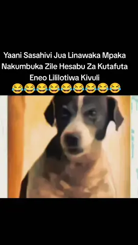 #smile😊🥰🔥💯 