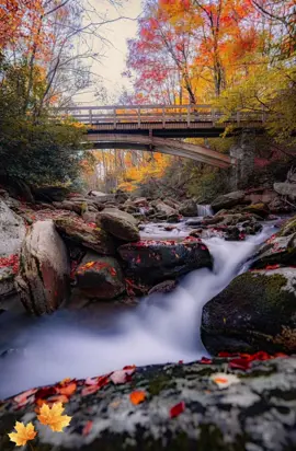 Beautiful Autumn waterfall 