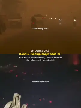 💔💔💔 #palangkaraya #kalimantan #beritaviral #kabutasap #karhutla 