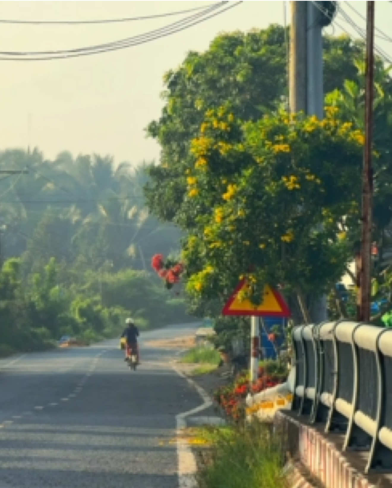 🧧Chỉ Còn 105 Ngày Nữa Là Tết 2027🧧Bạn Mong Ước Gì Cho Năm Nay..! #chill #xuhuong #mientay #tet #viral 