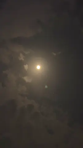 #تصويري 