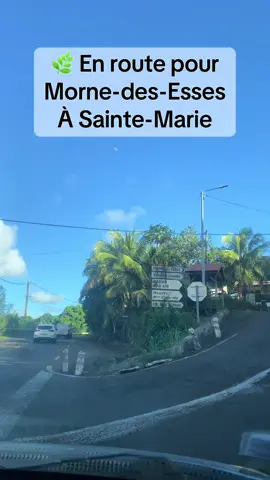 Je vous emmène découvrir Morne-des-Esses au fil de cette traversée.🥰🌴 Vous connaissez ce quartier ? #MorneDesEsses#SainteMarie#Martinique#DecouverteMartinique#TraverseeDeLaMartinique