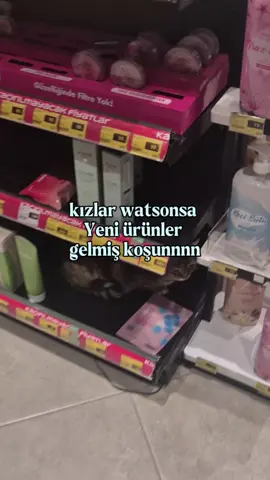 gece mağazaya saklanıp tüm alarmları devreye sokmuş isteyene ürün almasına gerek olmadan bedavaya veriyorlar haberiniz olsun🤗 #keşfet #fyp #cat #creatorsearchinsights 