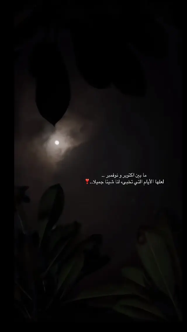 #creatorsearchinsights #اكسبلورexplore  #fyp #viral #foryou 
