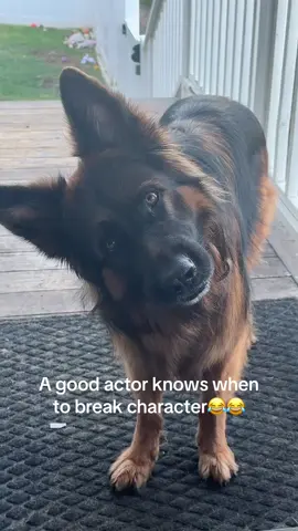 😂😂😂