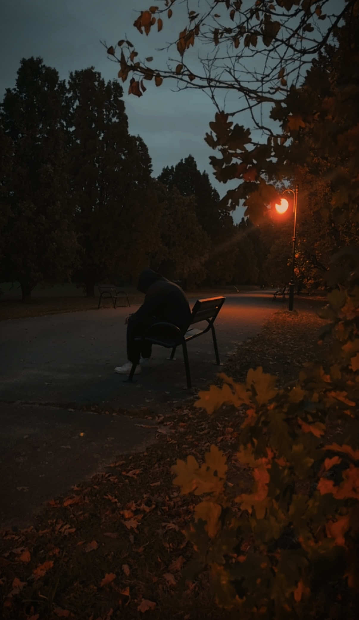 Alone🍂🥷🏿 . . . . #alone #nature #autumn #fyp 