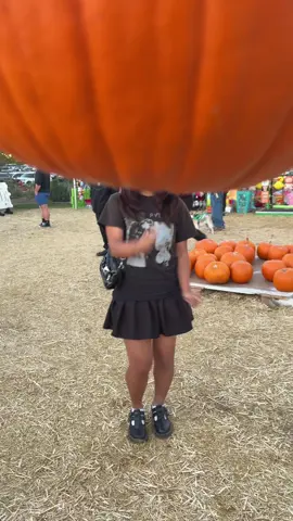 pumpkin patch w/@aura 💕 (my amazing and beautiful gf) #pumpkin #funny #viral #fyp 