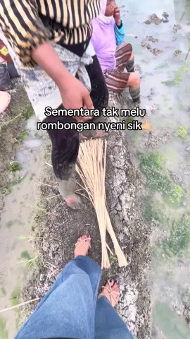 Monggo dijob tandur e kangg, redii banget ki🤣