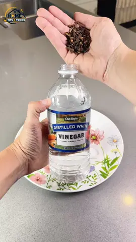 Add cloves to vinegar and watch what happens in minutes! #airfreshener #cleaninghacks #homehacks #hometips #fyp 