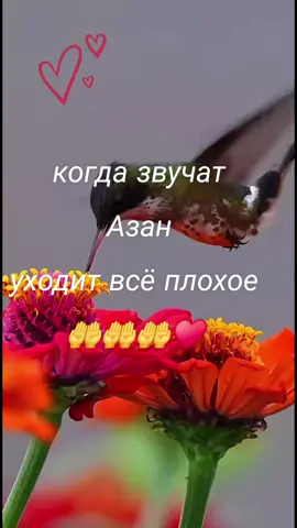 #Turkmenistan #Азан #🤲🤲🤲 #самый красивый азан#trend 