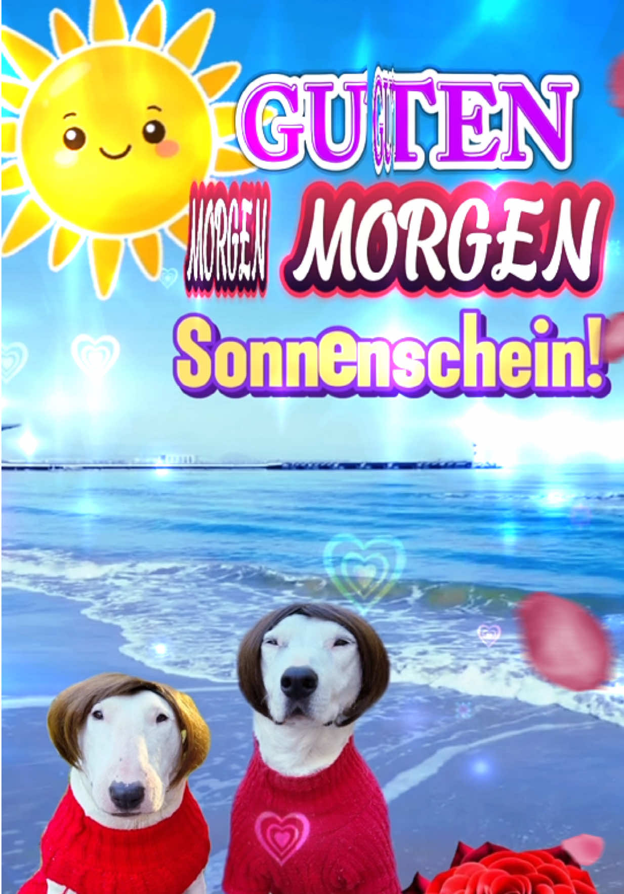 GUTEN MORGEN SONNENSCHEIN 🌞 JA JA JA! #gutenmorgen #sonnenschein #goodmorning #morning #goodmorninglove  