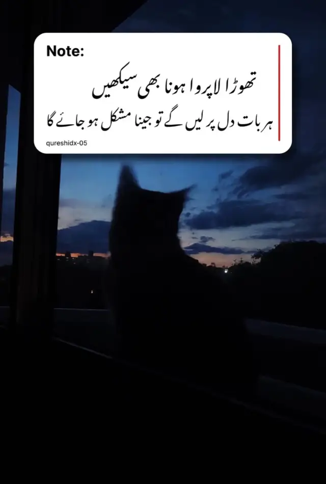 تھوڑا لاپروا ہونا بھی سیکھیں ہر بات دل پر لیں گے تو جینا مشکل ہو جائے گا #search 