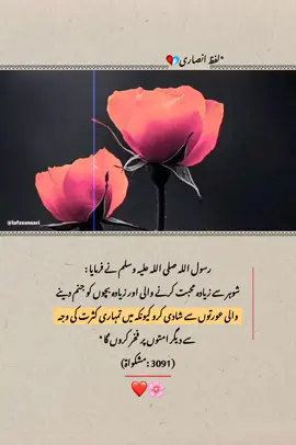 #lafzeansari2 @♡︎ انصاری زادی♡︎ 