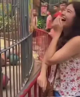 Này, thì mê gái này