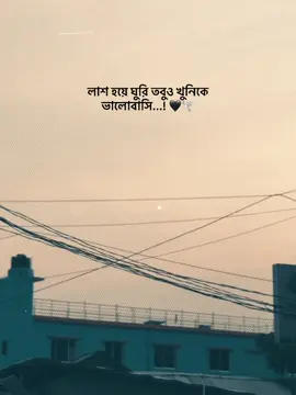 লাশ হয়ে ঘুরি তবুও খুনিকে ভালোবাসি...!🖤🕊️#hypppppppppppppppppppppppppppppppp #hype #vairalvideo #foryou #CapCut 