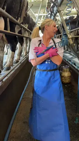 Serves me right for making TikTok’s in the cowshed 😂 #farmlife #gloves #cowshed 