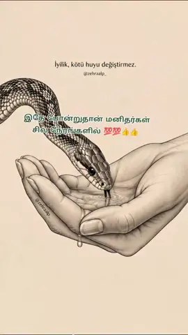 🤭👍💯💯💍🤲 #createsightinsight #fyp 