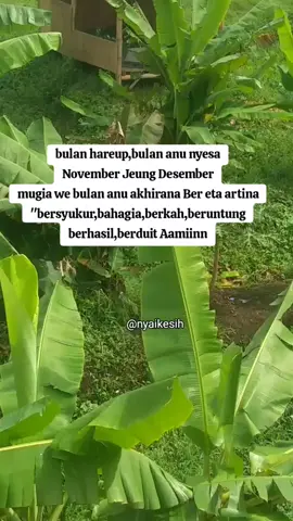 Aamiin allahuma Aaminn